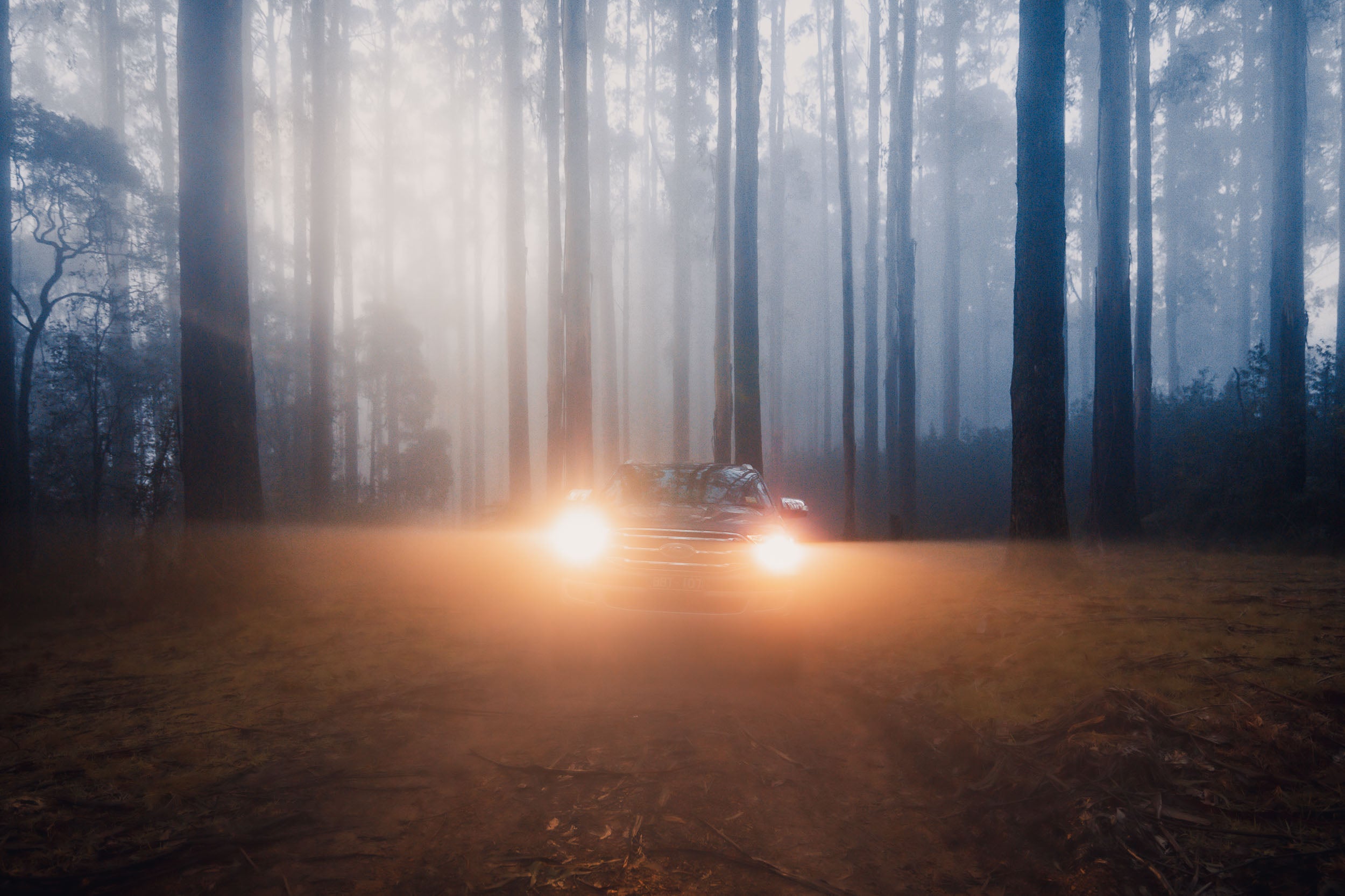 4 Day Victorian Road Trip
